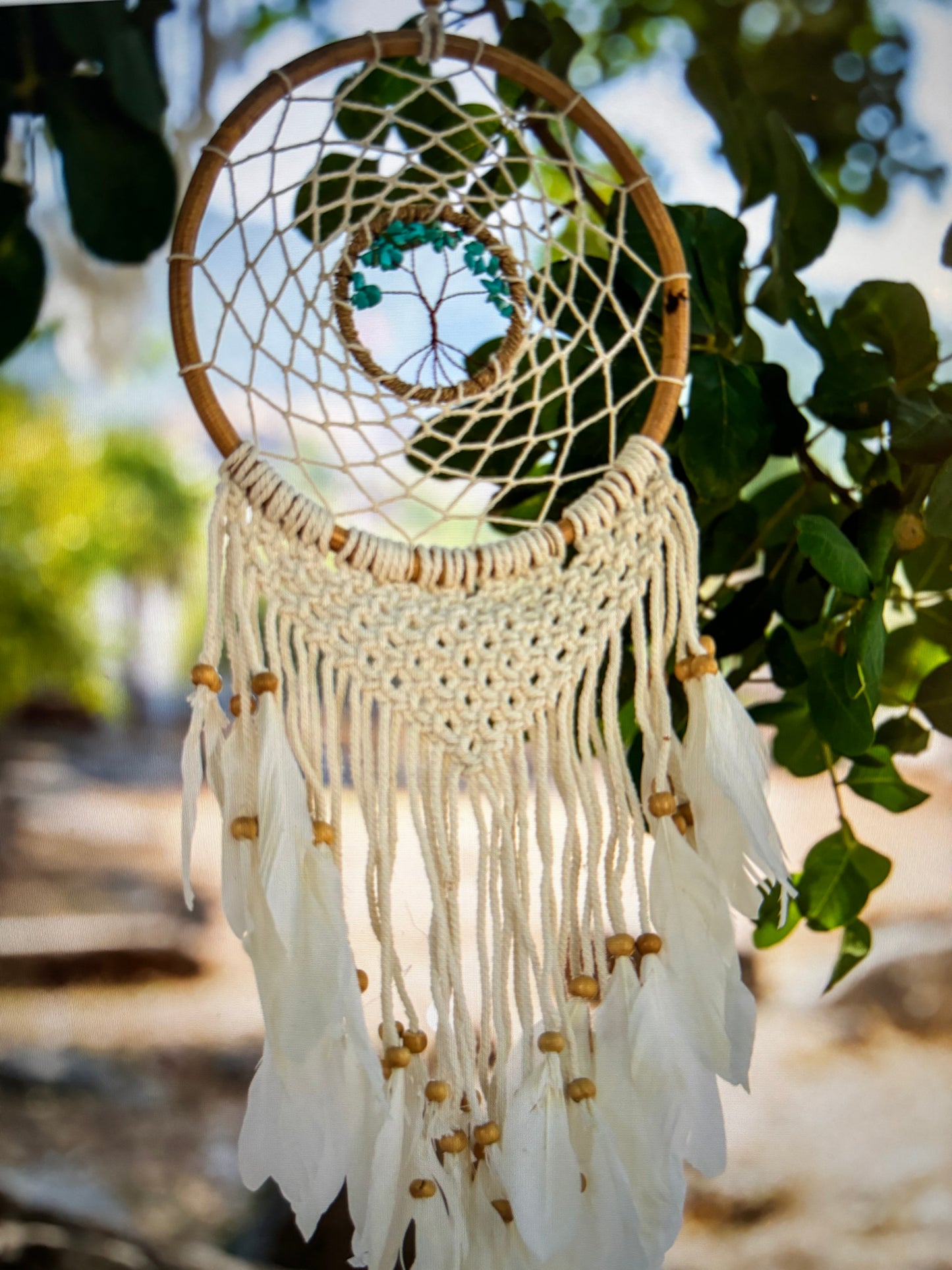 Dream Catchers